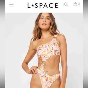 LSpace one piece swimsuit (never worn)